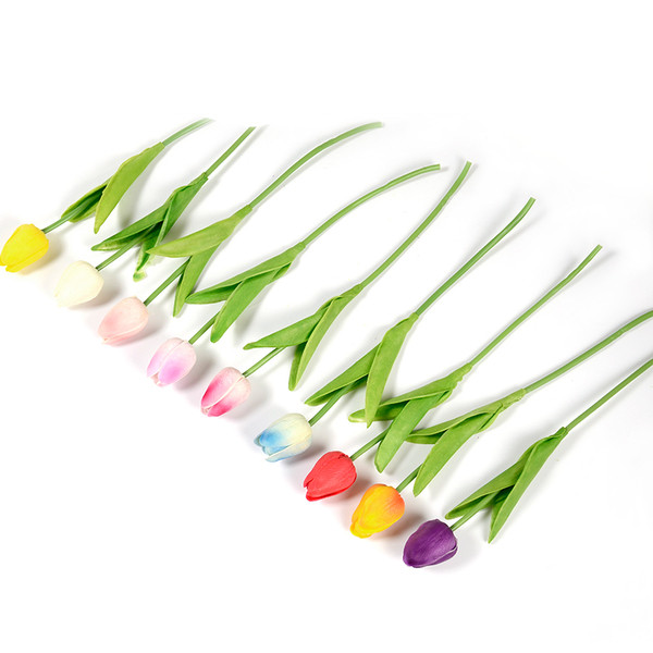 Διακοσμητικές τουλίπες σε διάφορα χρώματα