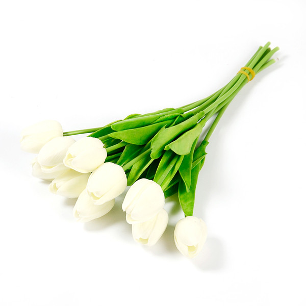 Διακοσμητικές τουλίπες σε διάφορα χρώματα