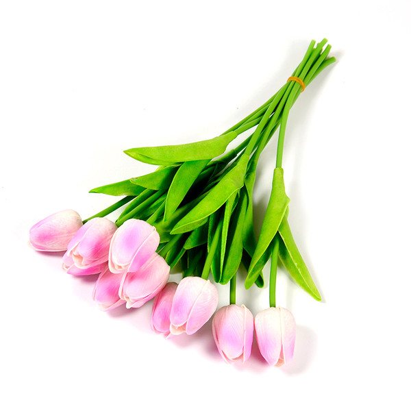 Διακοσμητικές τουλίπες σε διάφορα χρώματα