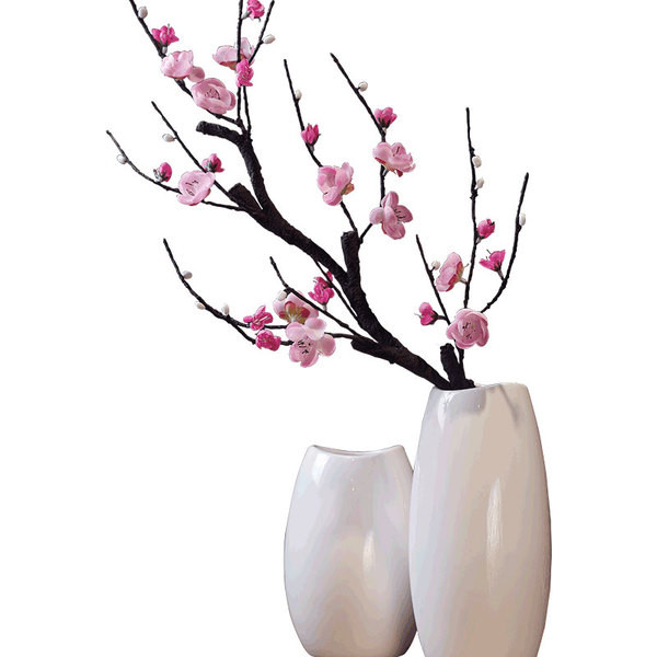 Plante ornamentale in mai multe culori