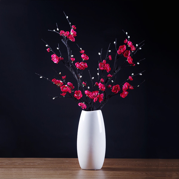 Plante ornamentale in mai multe culori