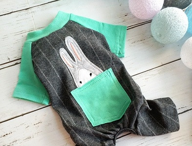 Ενδιαφέροντα ρούχα για σκύλους με έγχρωμο κέντημα και τσέπη σε διάφορα χρώματα