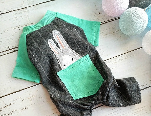 Ενδιαφέροντα ρούχα για σκύλους με έγχρωμο κέντημα και τσέπη σε διάφορα χρώματα