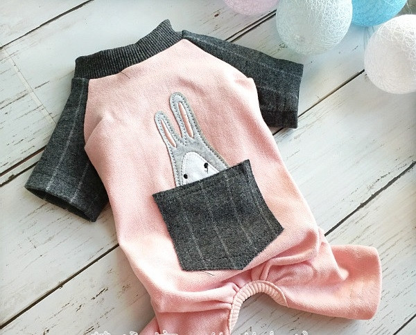 Ενδιαφέροντα ρούχα για σκύλους με έγχρωμο κέντημα και τσέπη σε διάφορα χρώματα