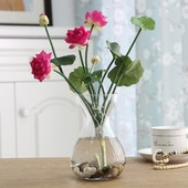 Καλλωπιστικά φυτά σε διάφορα χρώματα