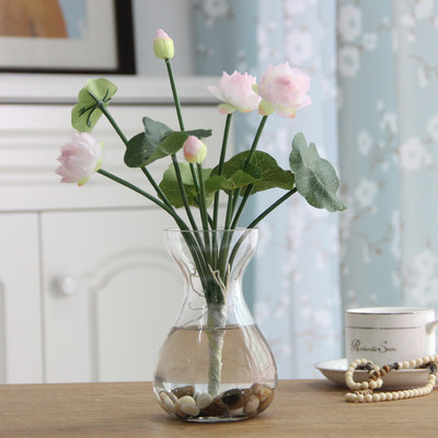 Καλλωπιστικά φυτά σε διάφορα χρώματα