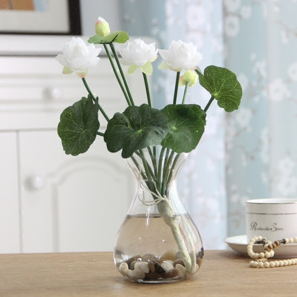 Καλλωπιστικά φυτά σε διάφορα χρώματα