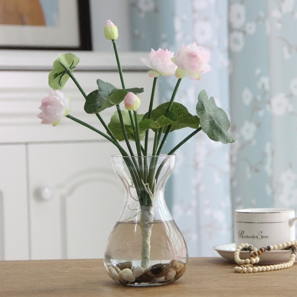 Καλλωπιστικά φυτά σε διάφορα χρώματα