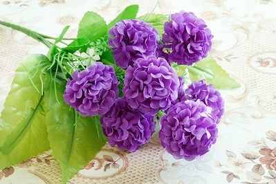 Декоративен зюмбюл в няколко цвята