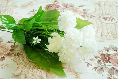 Декоративен зюмбюл в няколко цвята