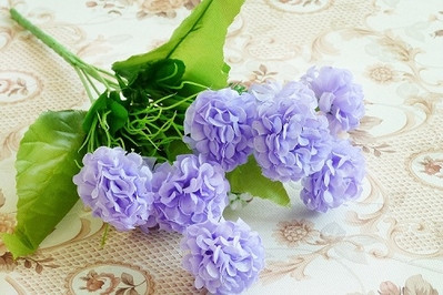 Декоративен зюмбюл в няколко цвята