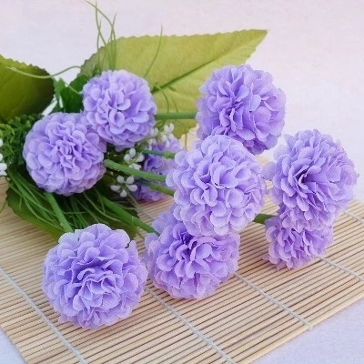 Декоративен зюмбюл в няколко цвята