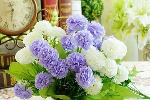 Декоративен зюмбюл в няколко цвята