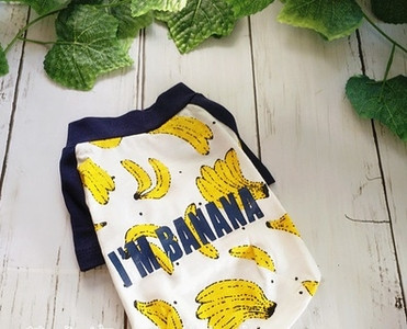 Ρούχα για ένα σκυλί με έγχρωμη appliqué - μπανάνες σε δύο μοντέλα