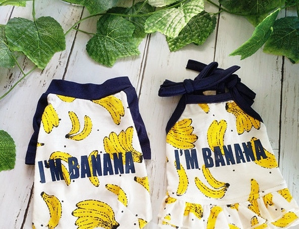 Ρούχα για ένα σκυλί με έγχρωμη appliqué - μπανάνες σε δύο μοντέλα