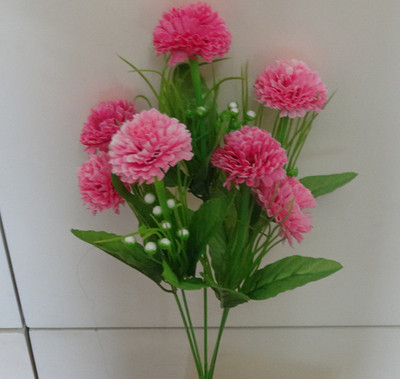 Plante ornamentale în trei culori
