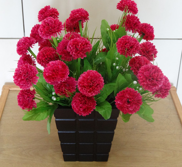 Καλλωπιστικά φυτά σε τρία χρώματα