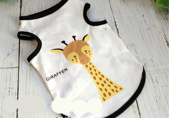 Imbracaminte interesanta pentru caini cu aplicatii colorate