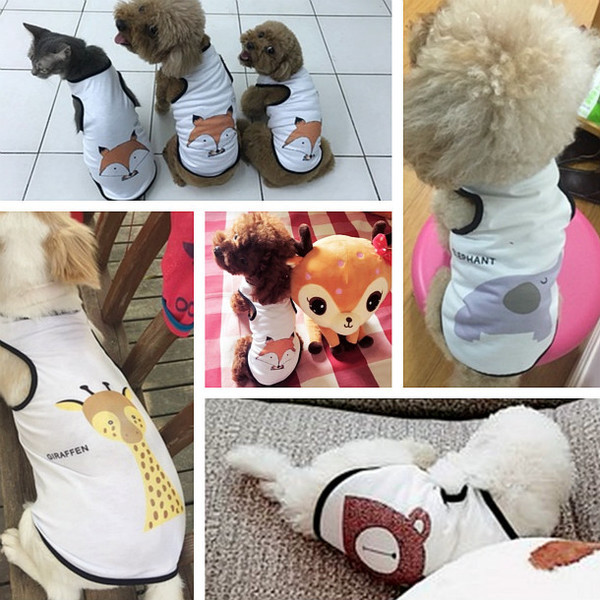 Imbracaminte interesanta pentru caini cu aplicatii colorate