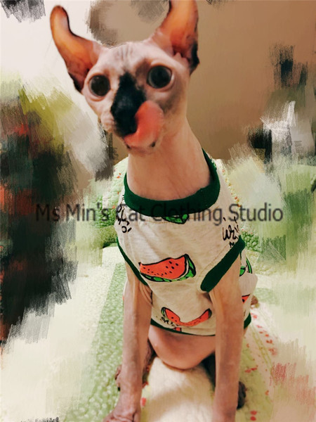 Ενδιαφέρουσες ενδυμασίες για γάτες με έγχρωμες εφαρμογές