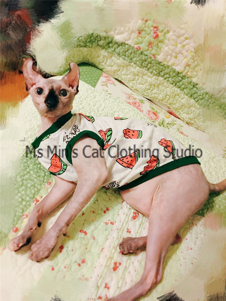 Ενδιαφέρουσες ενδυμασίες για γάτες με έγχρωμες εφαρμογές