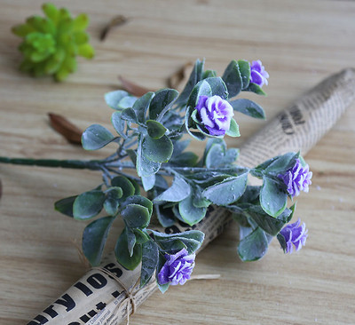 Декоративно цвете в няколко цвята