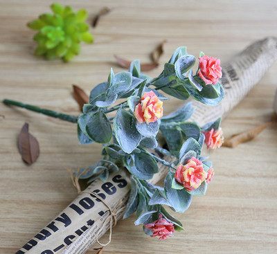 Декоративно цвете в няколко цвята