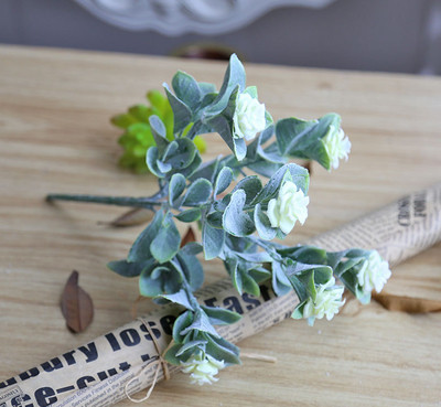 Декоративно цвете в няколко цвята