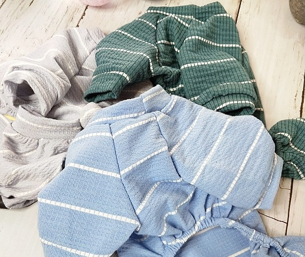 Salopeta pentru un caine cu aplicare de culoare in mai multe culori