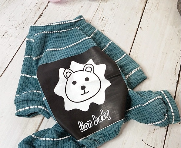 Salopeta pentru un caine cu aplicare de culoare in mai multe culori