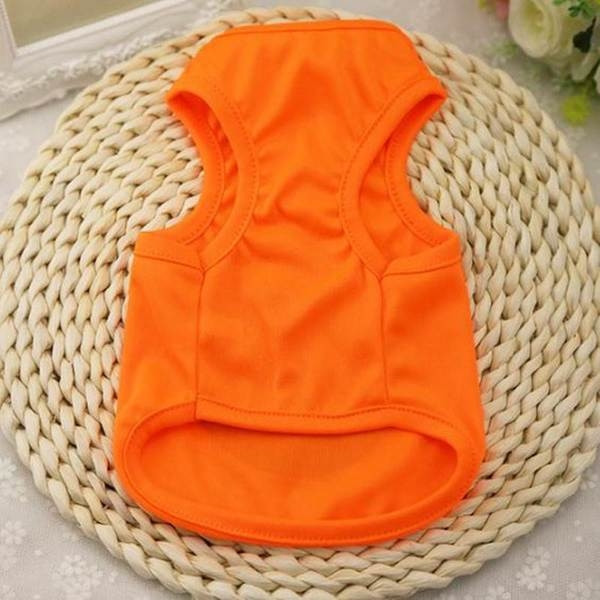 Ενδιαφέρουσα ρούχα για σκύλους και γάτες με πολύχρωμη εφαρμογή σε διάφορα χρώματα