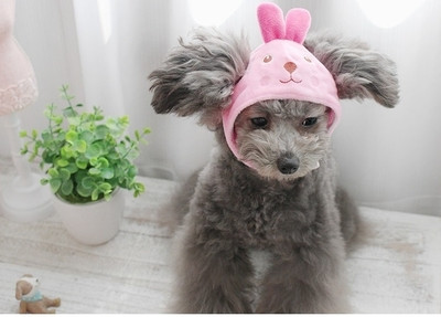 Palarie de plus cu element 3D in mai multe culori pentru caini si pisici