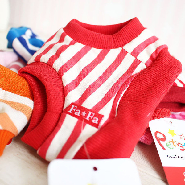 Pantaloni colorati pentru caini si pisici cu element 3D in mai multe culori