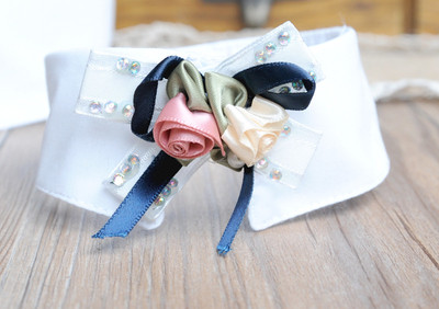 Ζώνη σκυλιών σε διάφορα μοντέλα