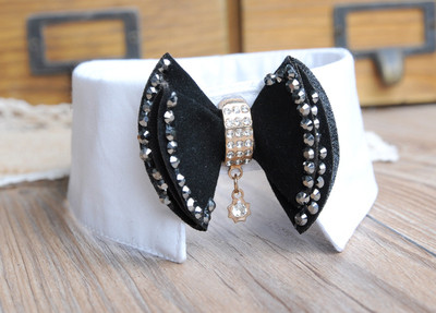 Ζώνη σκυλιών σε διάφορα μοντέλα