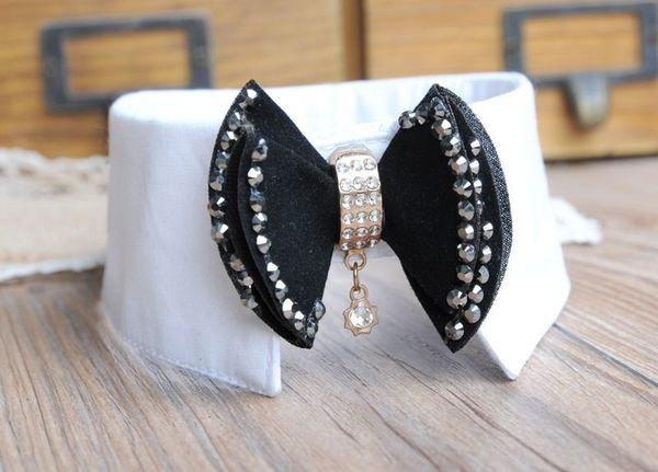 Ζώνη σκυλιών σε διάφορα μοντέλα