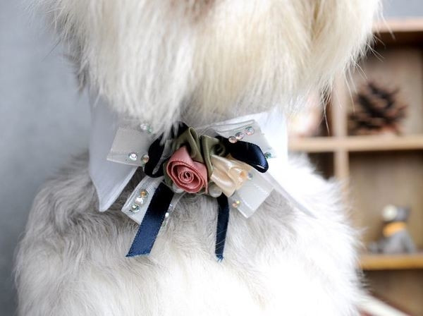 Ζώνη σκυλιών σε διάφορα μοντέλα