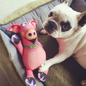 Jucărie scârțâitoare pentru animale de companie