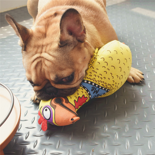 Jucărie scârțâitoare pentru animale de companie