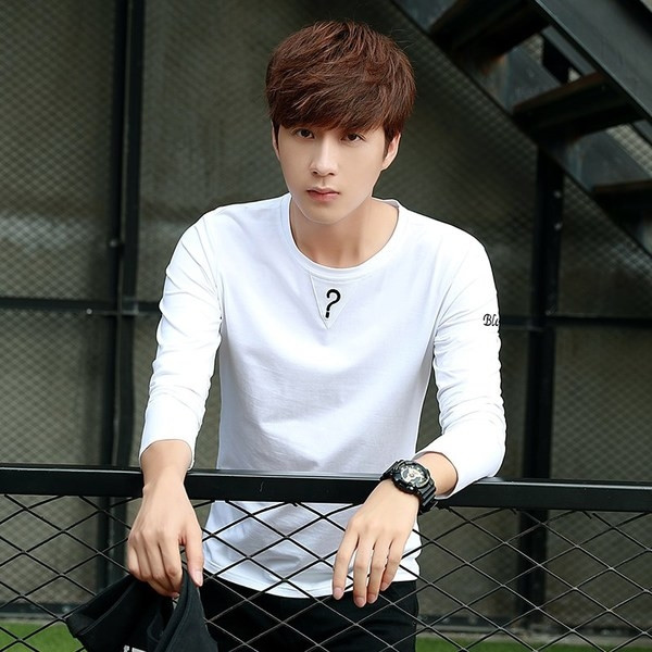 Ежедневна мъжка блуза изчистен модел  с О-образно деколте в няколко цвята 