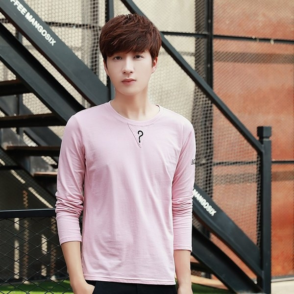 Ежедневна мъжка блуза изчистен модел  с О-образно деколте в няколко цвята 