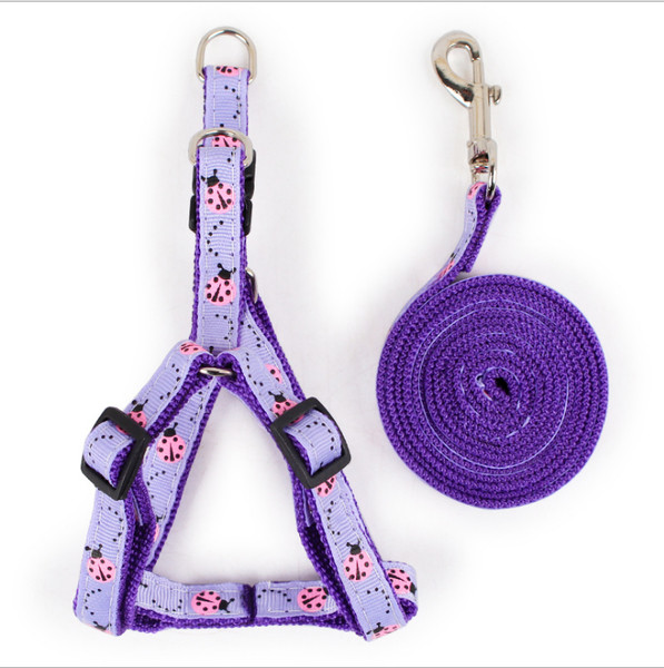 Lesa pentru caini cu baveta in mai multe culori