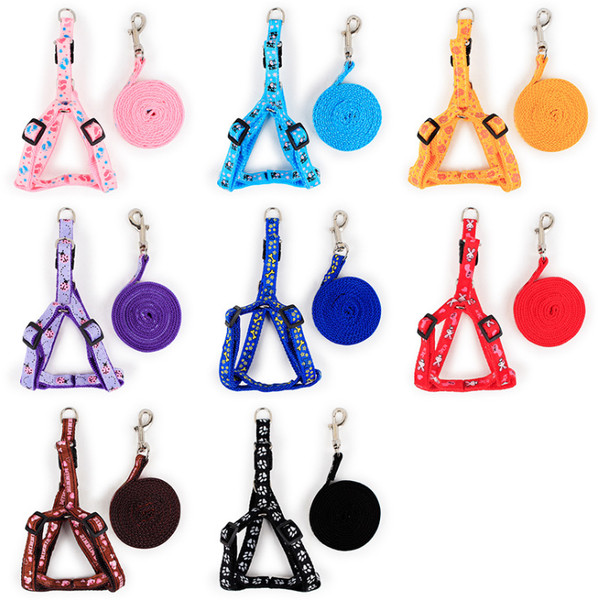 Lesa pentru caini cu baveta in mai multe culori