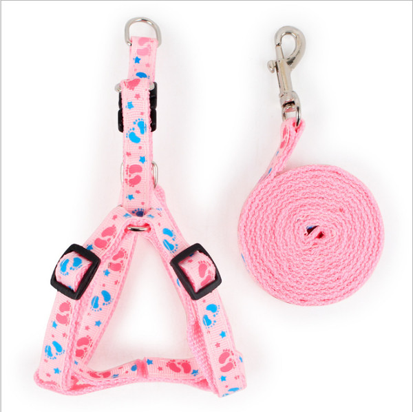 Lesa pentru caini cu baveta in mai multe culori