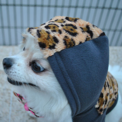 Jachetă pentru animale de companie în două modele, cu glugă