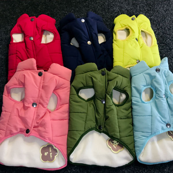 Pet κατοικίδιων ζώων σε διάφορα χρώματα