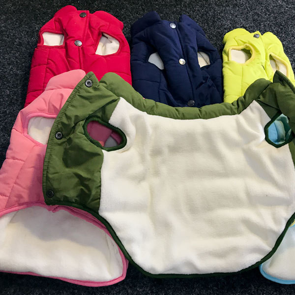 Pet κατοικίδιων ζώων σε διάφορα χρώματα