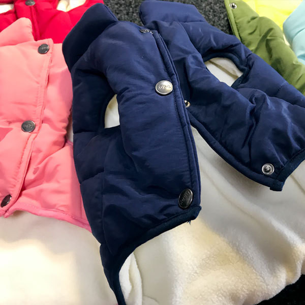 Pet κατοικίδιων ζώων σε διάφορα χρώματα