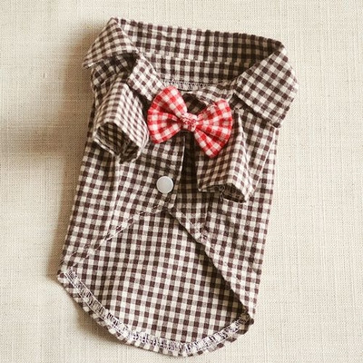 Κομψό πουκάμισο κατοικίδιων ζώων σε τέσσερα χρώματα