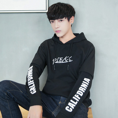 Мъжка спортно-ежедневна блуза с качулка в няколко модела